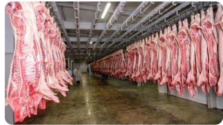 90٪-من-اللحوم-في-الأسواق-عراقية-ومشاريع-لتربية-100-ألف.jpeg