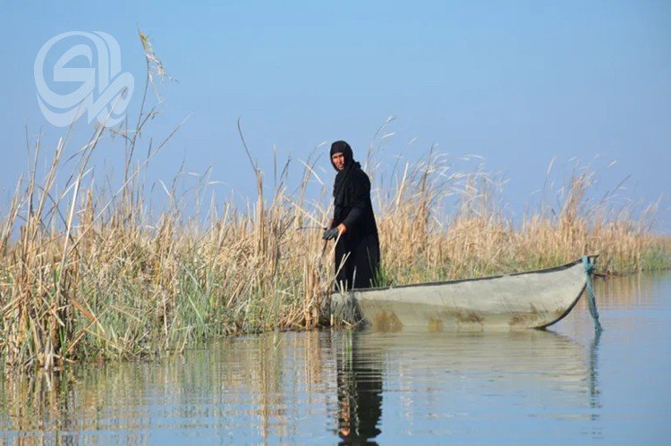 نزوح-مضاعف-من-أهوار-الجنوب-بعد-تلاشي-الثروتين-السمكية-والحيوانية.jpeg