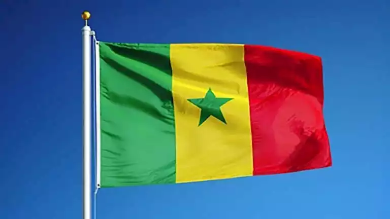 الاتحاد-السنغالي-يحذر-جماهيره-من-خطورة-المحظورات-قبل-مواجهة-مصر.webp.webp
