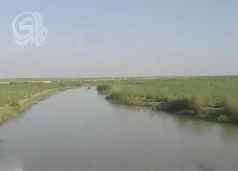 هل-يواجه-العراق-أزمة-صحية-صامتة؟.jpg