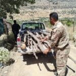 قطع-الأشجار-يعيد-ملف-التصحر-في-العراق-إلى-الواجهة.jpeg