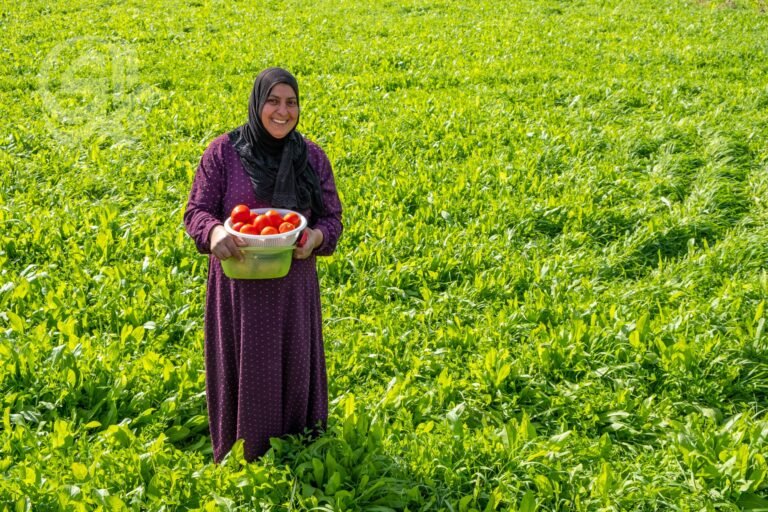 الزراعة-تدعو-إلى-الري-الحديث-لمواجهة-شح-المياه-والتغير-المناخي.jpg