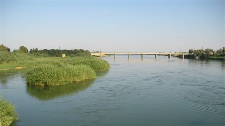 رئيس-الوزراء-نتطلع-الى-إدارة-مشتركة-مع-تركيا-في-ملف.jpg