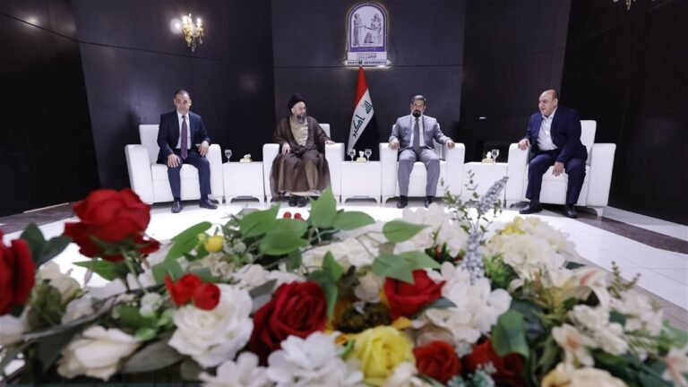 السيد-الحكيم-يدعو-لتوضيح-طبيعة-المرحلة-دون-إثارة-الخوف-والرعب.jpeg
