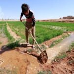 النجف-تراهن-على-تنوع-أراضيها-الزراعية-والمياه-تحسم-عودة-شلب.jpg
