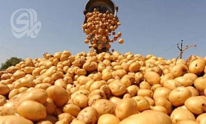 من-البطاطا-إلى-البصل-الزراعة-تغلق-باب-الاستيراد-أمام-40.jpg