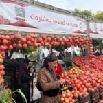 الوطن-يشبه-رمان-حلبجة-مهرجان-يفتح-نافذة-للمنتجات-المحلية-في.jpg
