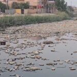 ذاكرة-مائية-تتحول-إلى-مستنقع-الحوامد-نموذج-لأزمة-أنهار-البصرة.jpg