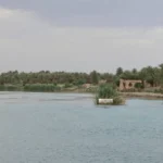 مياه-الصرف-الصحي-والصيد-الجائر-يهددان-بيئة-الفرات-في-الأنبار.webp.webp